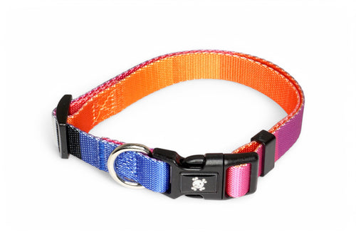 Collier Pantone